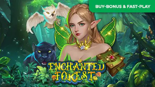 Enchanted Forest - Spin City - Congo